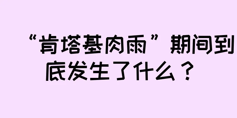 “肯塔基肉雨”期间到底发生了什么？