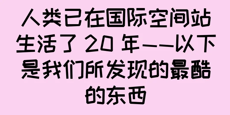 人类已在国际空间站生活了 20 年——以下是我们所发现的最酷的东西