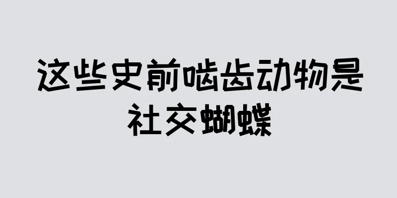 这些史前啮齿动物是社交蝴蝶