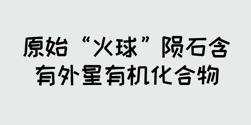 原始“火球”陨石含有外星有机化合物