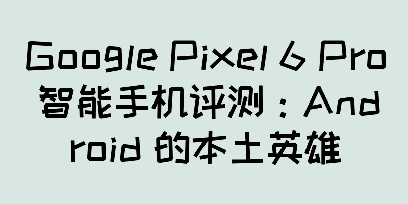 Google Pixel 6 Pro 智能手机评测：Android 的本土英雄