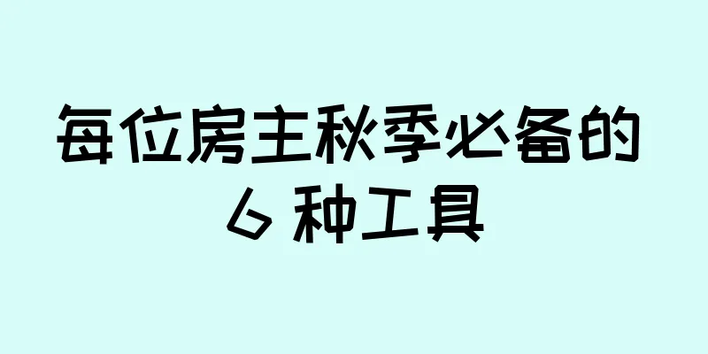 每位房主秋季必备的 6 种工具