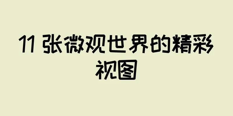 11 张微观世界的精彩视图
