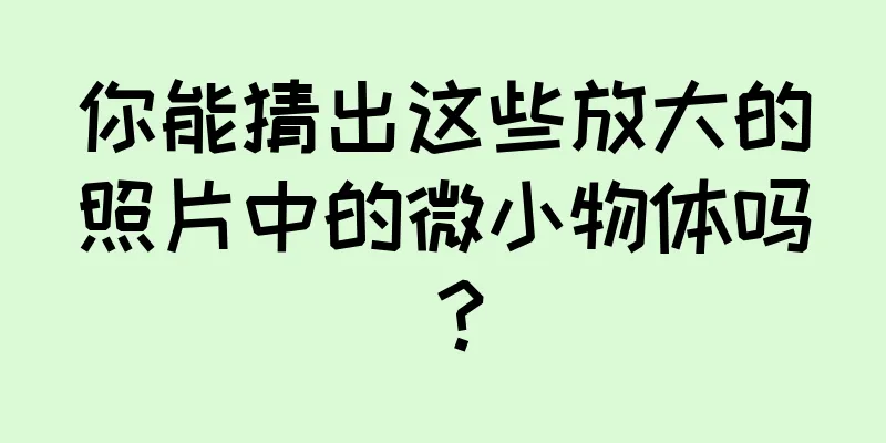 你能猜出这些放大的照片中的微小物体吗？
