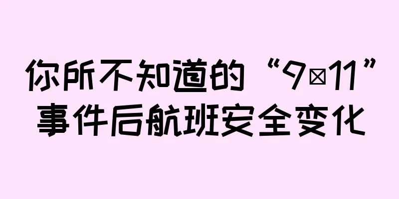 你所不知道的“9·11”事件后航班安全变化