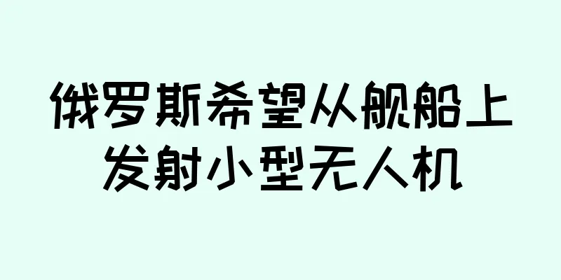 俄罗斯希望从舰船上发射小型无人机