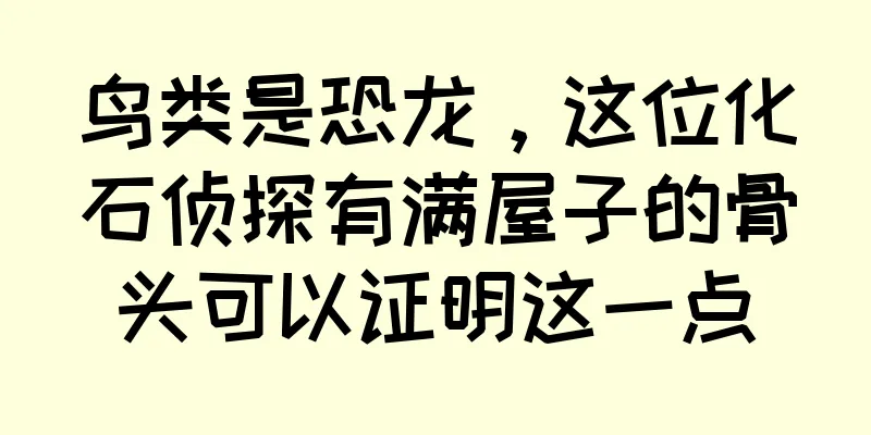 鸟类是恐龙，这位化石侦探有满屋子的骨头可以证明这一点