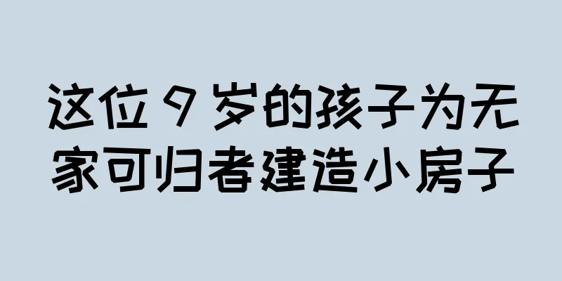 这位 9 岁的孩子为无家可归者建造小房子