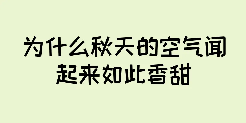为什么秋天的空气闻起来如此香甜