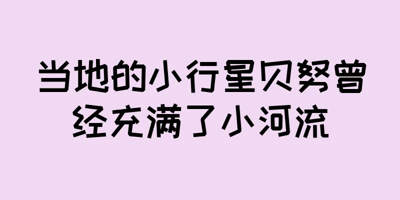 当地的小行星贝努曾经充满了小河流
