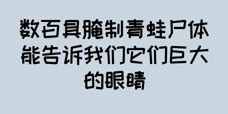 数百具腌制青蛙尸体能告诉我们它们巨大的眼睛