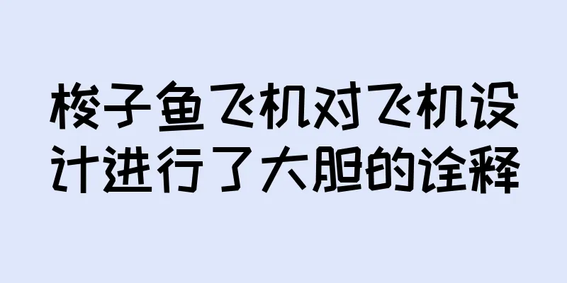 梭子鱼飞机对飞机设计进行了大胆的诠释