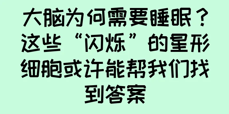 大脑为何需要睡眠？这些“闪烁”的星形细胞或许能帮我们找到答案