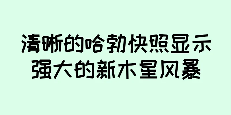 清晰的哈勃快照显示强大的新木星风暴