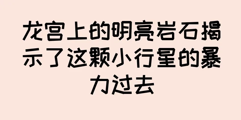 龙宫上的明亮岩石揭示了这颗小行星的暴力过去