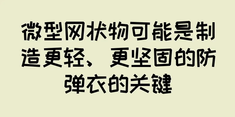 微型网状物可能是制造更轻、更坚固的防弹衣的关键