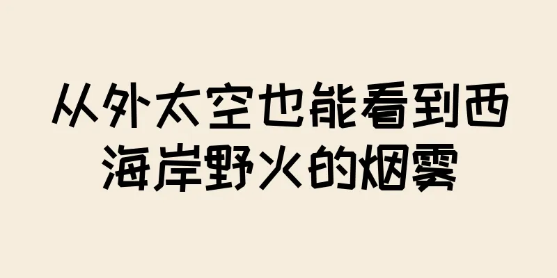 从外太空也能看到西海岸野火的烟雾