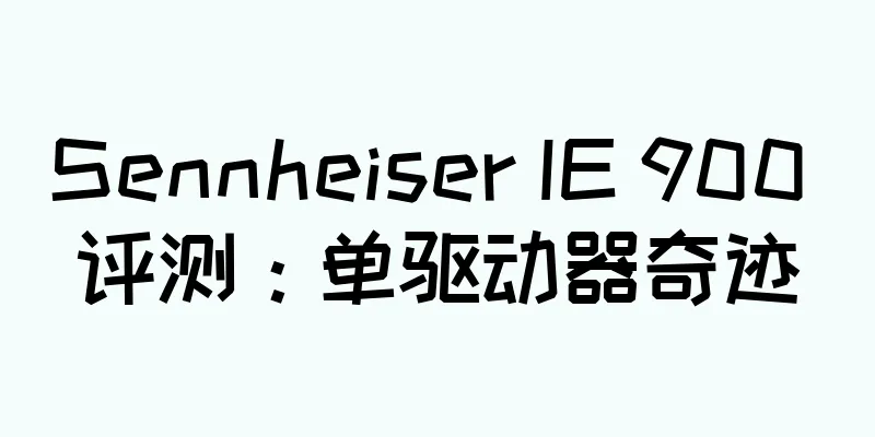 Sennheiser IE 900 评测：单驱动器奇迹