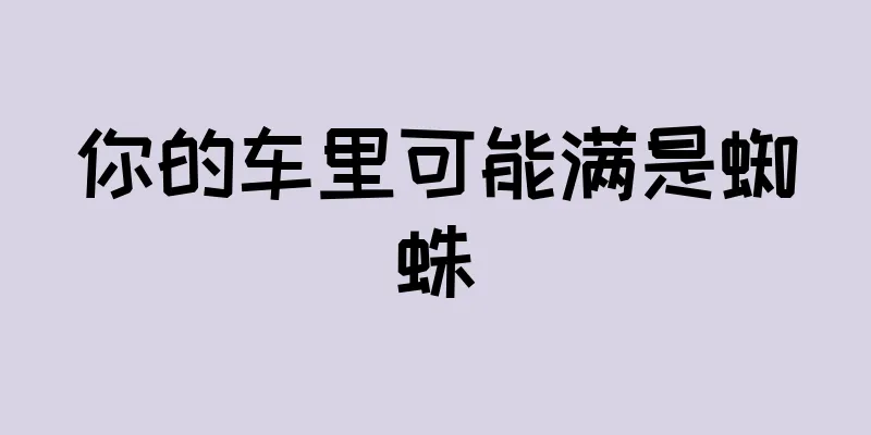 你的车里可能满是蜘蛛