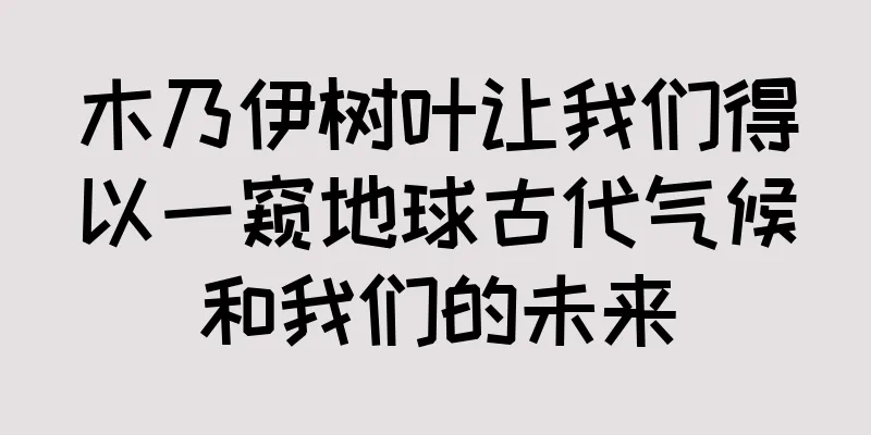 木乃伊树叶让我们得以一窥地球古代气候和我们的未来