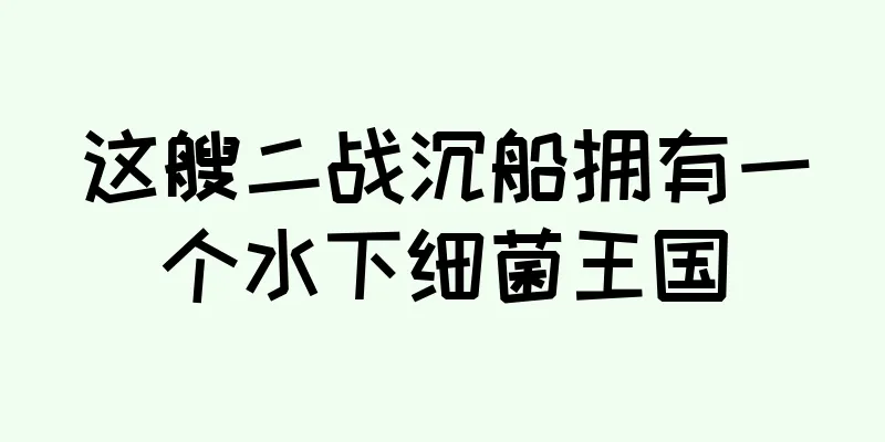 这艘二战沉船拥有一个水下细菌王国