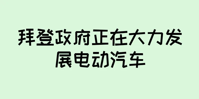 拜登政府正在大力发展电动汽车