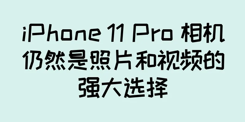 iPhone 11 Pro 相机仍然是照片和视频的强大选择