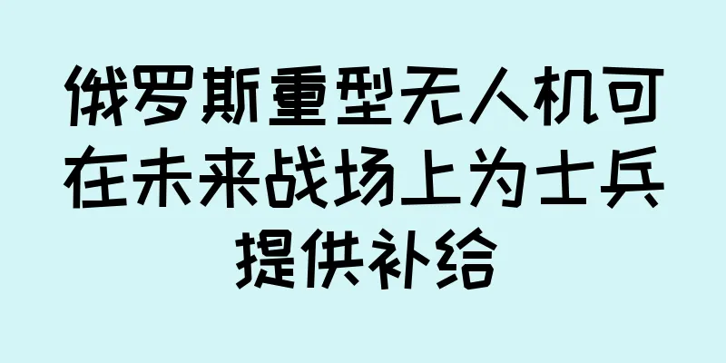 俄罗斯重型无人机可在未来战场上为士兵提供补给