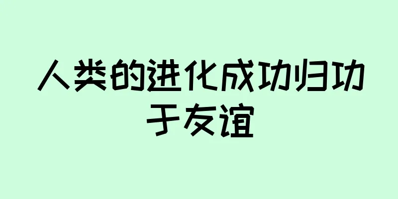 人类的进化成功归功于友谊