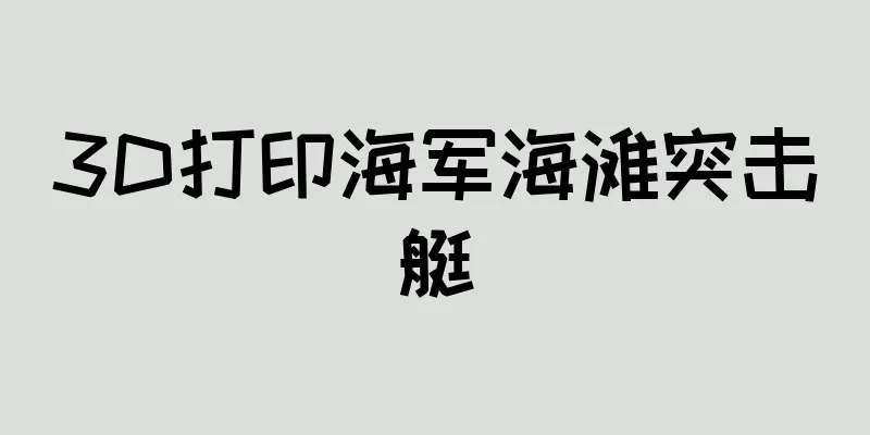 3D打印海军海滩突击艇