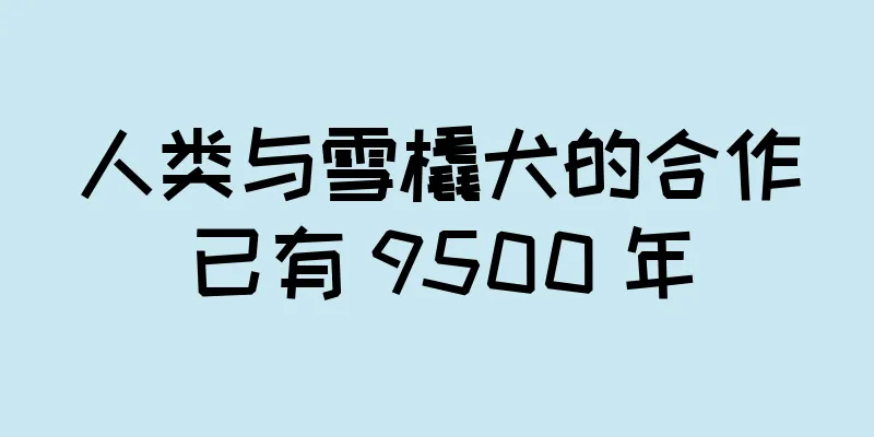 人类与雪橇犬的合作已有 9500 年