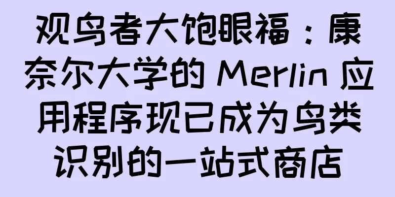 观鸟者大饱眼福：康奈尔大学的 Merlin 应用程序现已成为鸟类识别的一站式商店