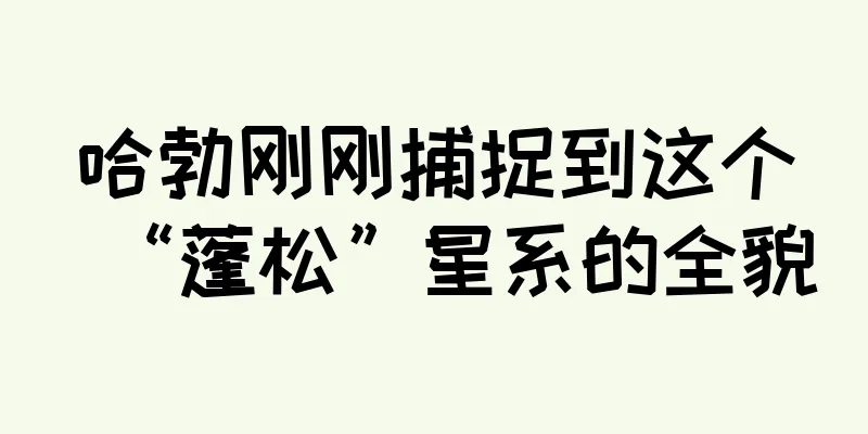 哈勃刚刚捕捉到这个“蓬松”星系的全貌