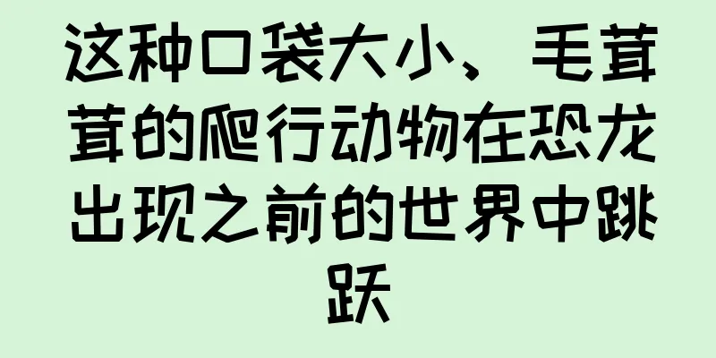 这种口袋大小、毛茸茸的爬行动物在恐龙出现之前的世界中跳跃