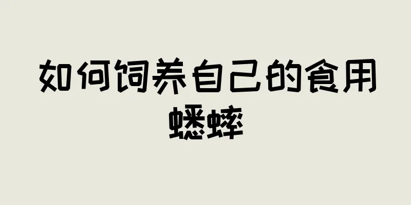如何饲养自己的食用蟋蟀