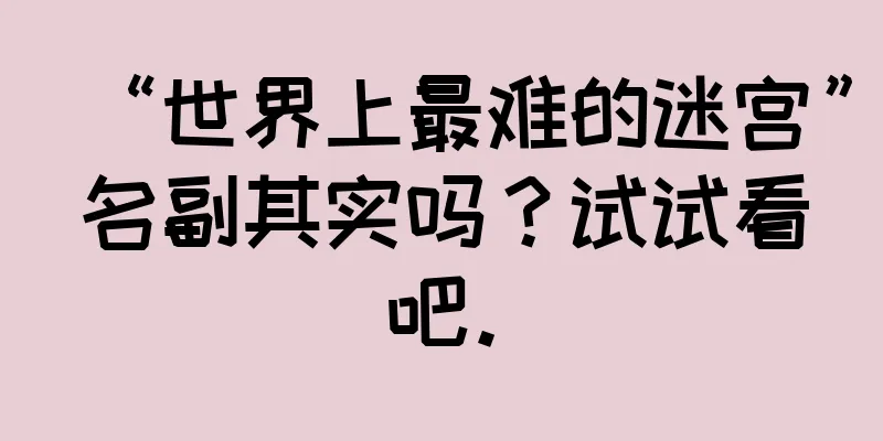“世界上最难的迷宫”名副其实吗？试试看吧。