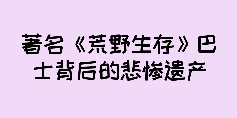 著名《荒野生存》巴士背后的悲惨遗产