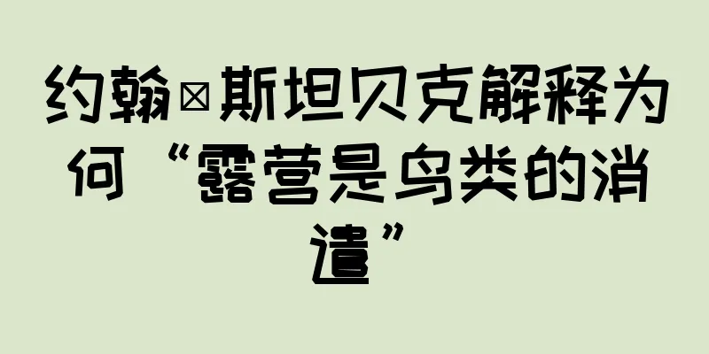 约翰·斯坦贝克解释为何“露营是鸟类的消遣”