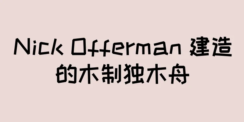 Nick Offerman 建造的木制独木舟