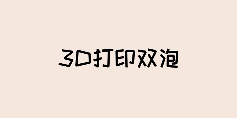 3D打印双泡