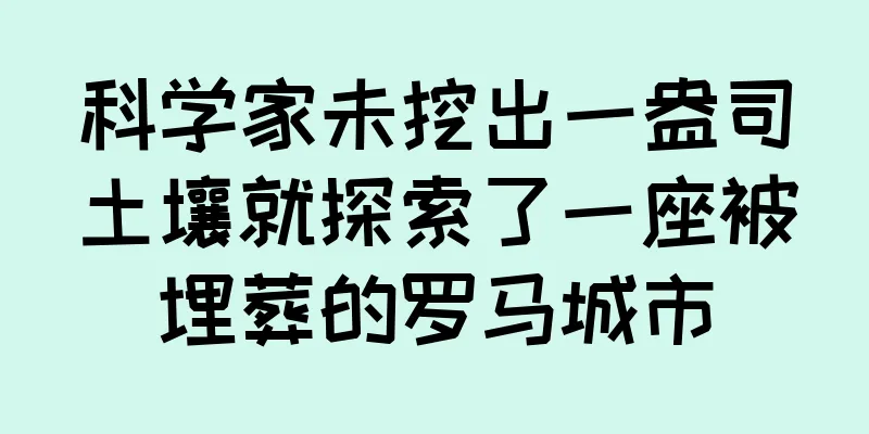 科学家未挖出一盎司土壤就探索了一座被埋葬的罗马城市