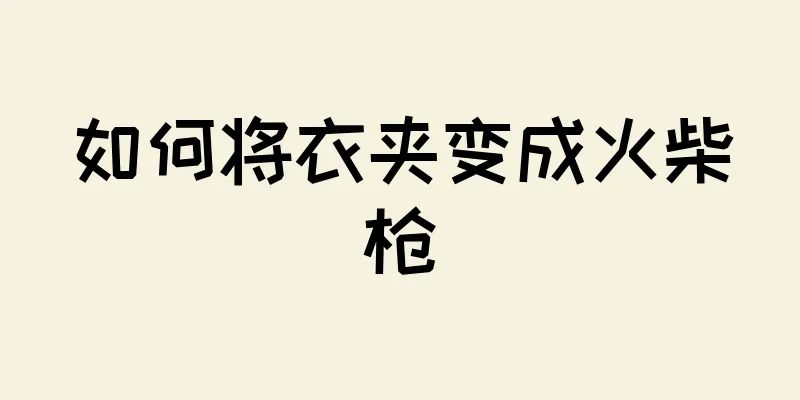 如何将衣夹变成火柴枪