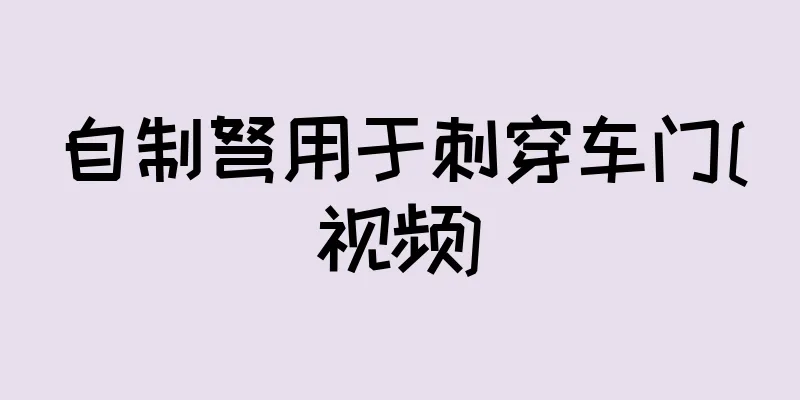 自制弩用于刺穿车门[视频]