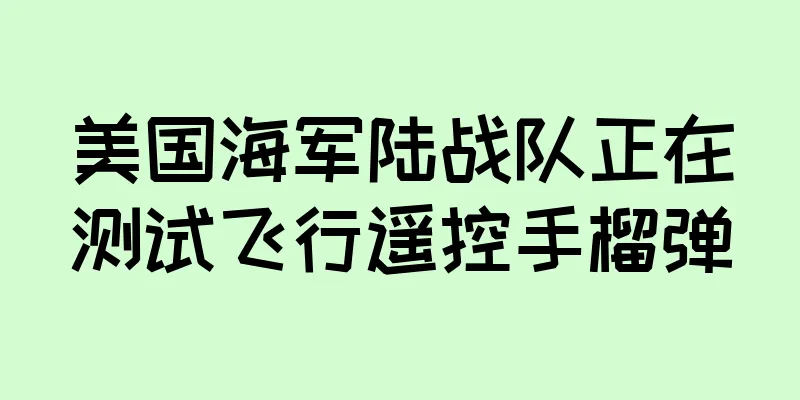 美国海军陆战队正在测试飞行遥控手榴弹