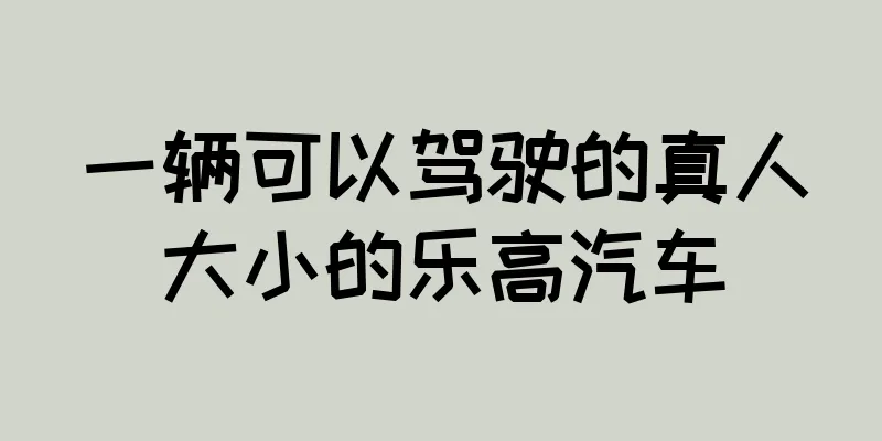 一辆可以驾驶的真人大小的乐高汽车