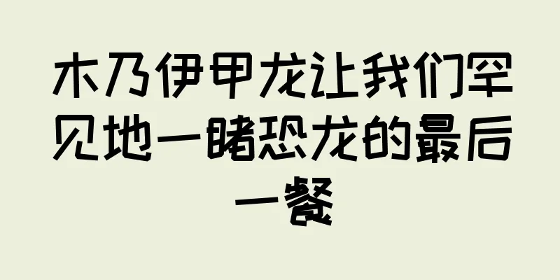 木乃伊甲龙让我们罕见地一睹恐龙的最后一餐