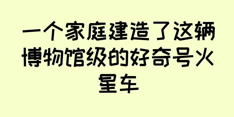 一个家庭建造了这辆博物馆级的好奇号火星车