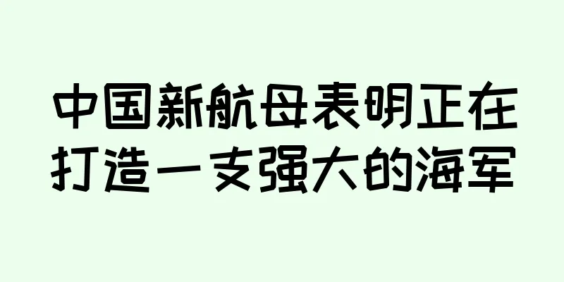 中国新航母表明正在打造一支强大的海军