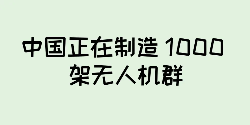 中国正在制造 1000 架无人机群