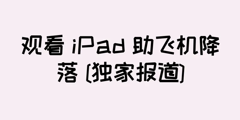 观看 iPad 助飞机降落 [独家报道]